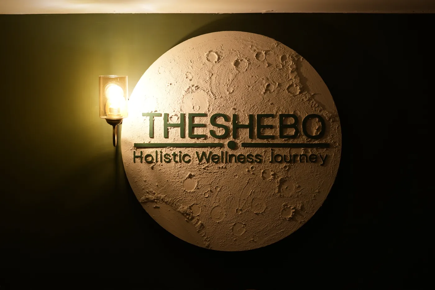 TheShebo stüdyosu